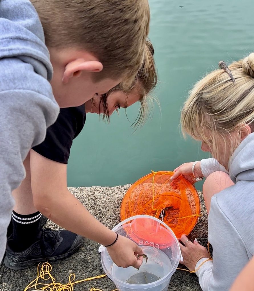 Crabbing in cornwall